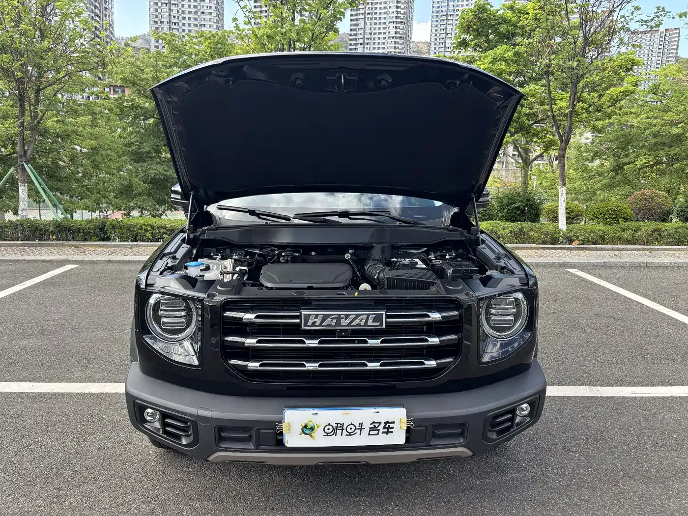 Haval Big Dog 2022 1.5T DCT FWD Labrador Edition фото 15