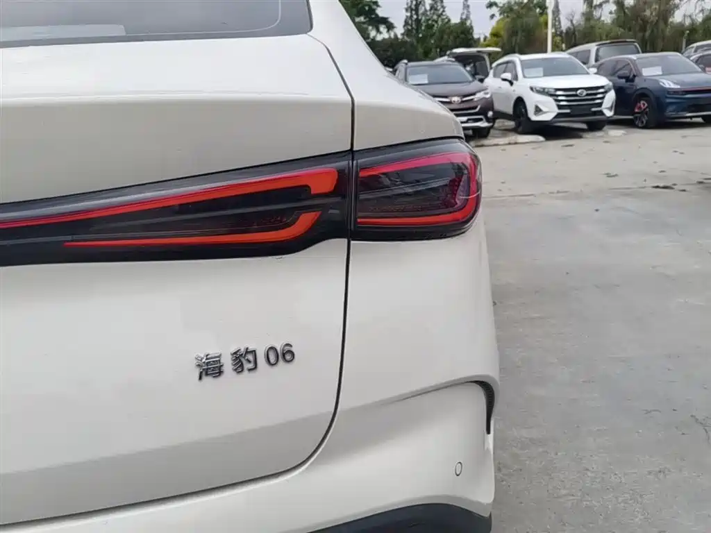 BYD Seal 06 New Energy 2024 DM-i 120KM Premium фото 8