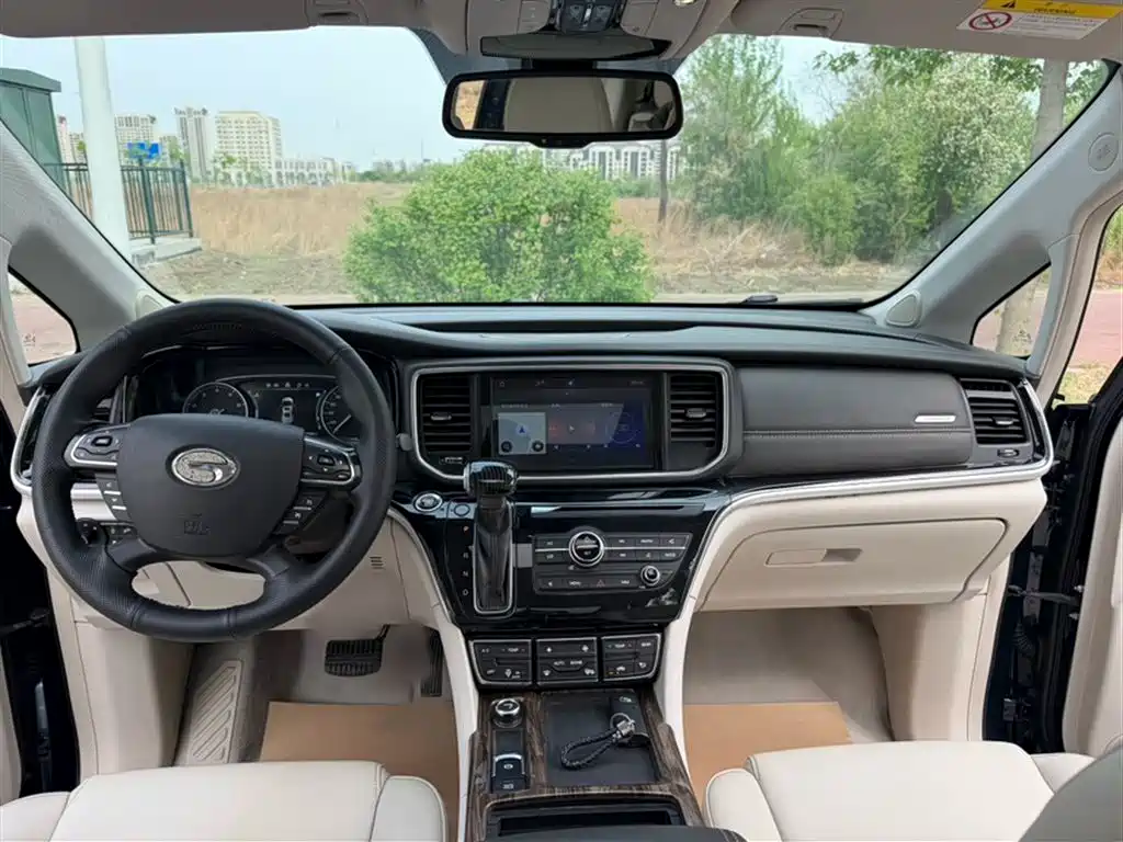 GAC Trumpchi Trumpchi M8 2018 320T Premium Edition фото 13