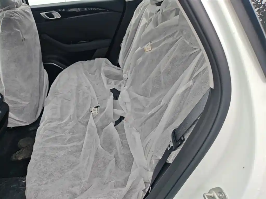Geely Galaxy Galaxy Stellar 6 2025 125km Long Voyage Edition фото 17