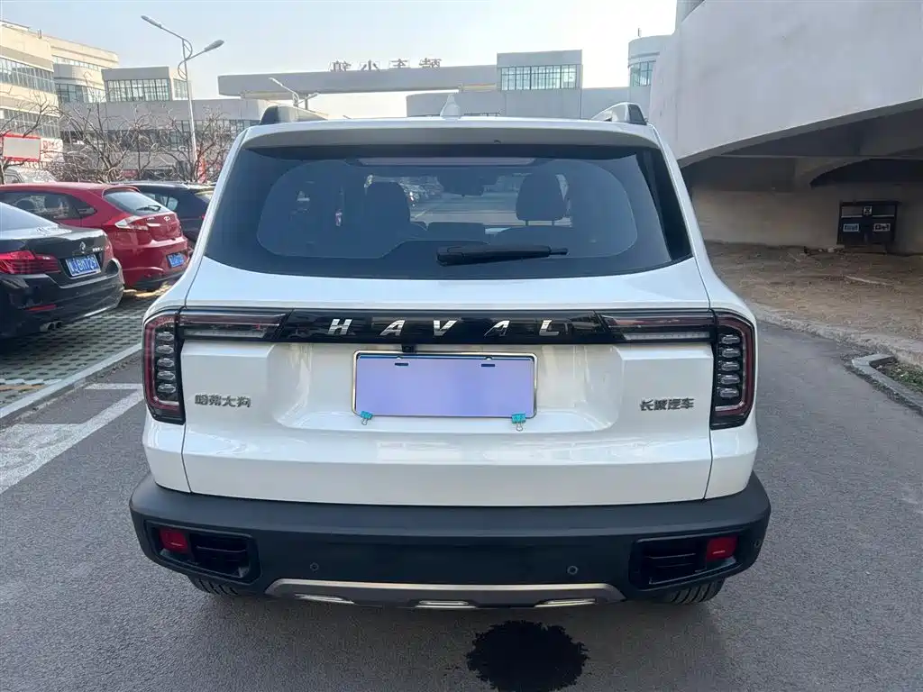 HAVAL BIG DOG
