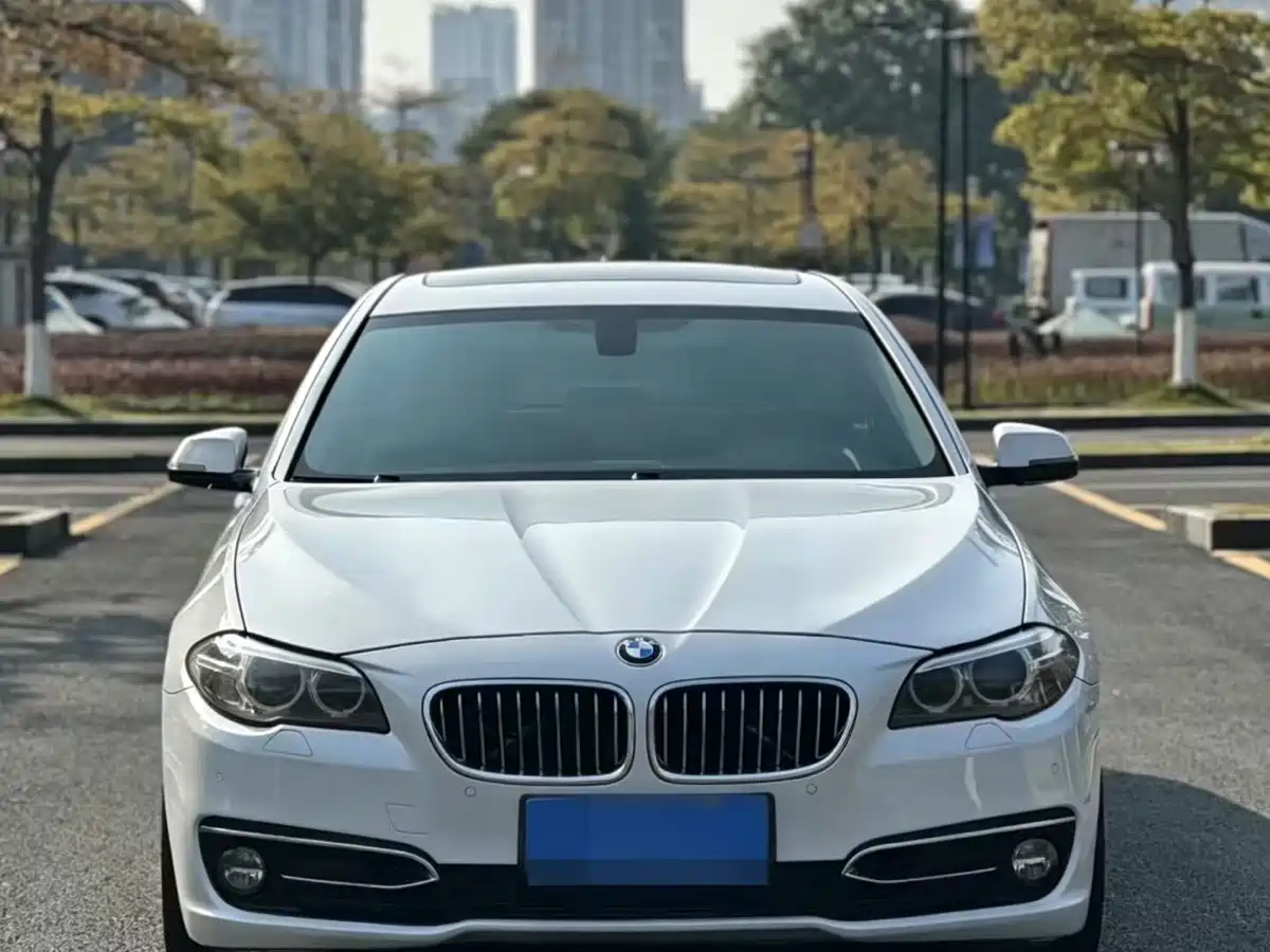 BMW 5 Series 2014 525Li Luxury Design Package фото 3