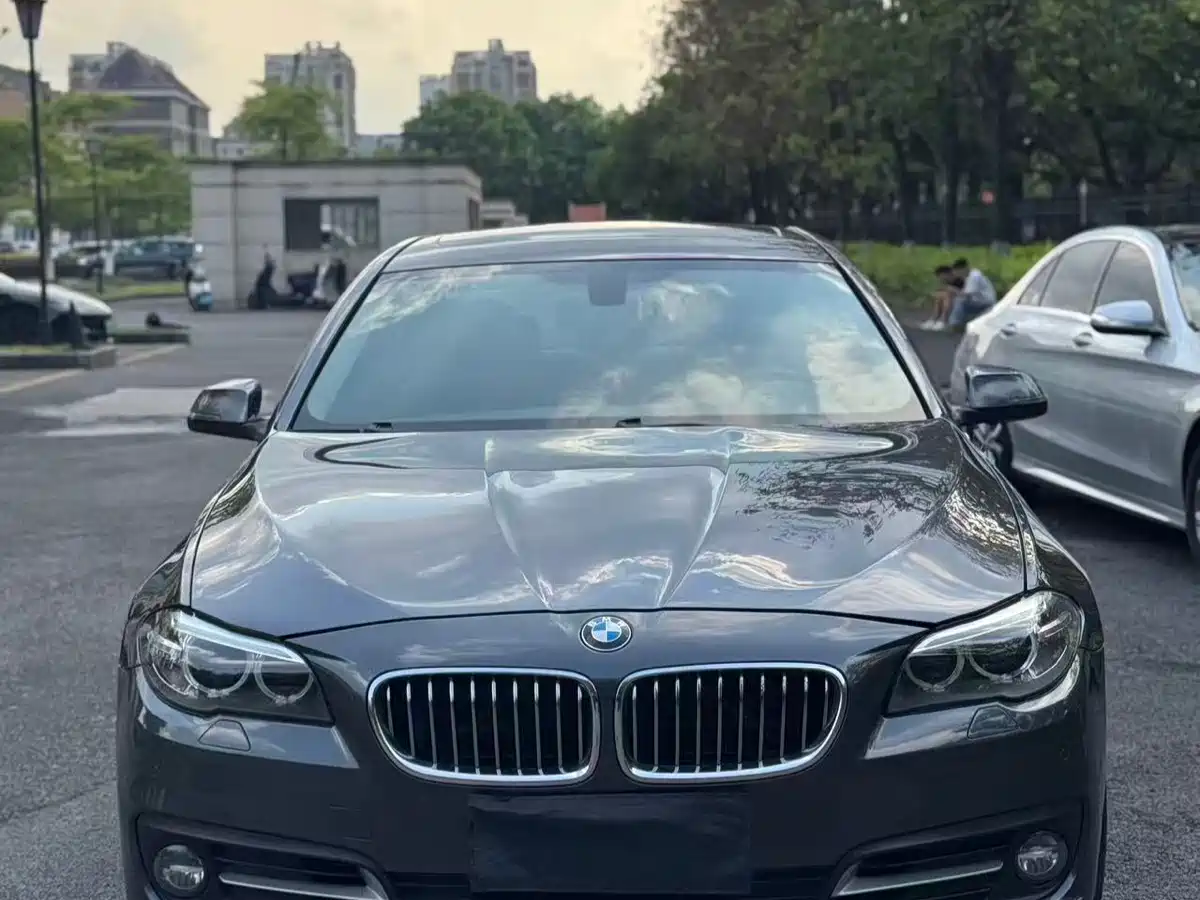 BMW 5 Series 2014 525Li Leading фото 2