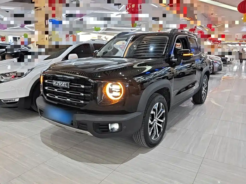 Haval Big Dog 2022 1.5T DCT FWD Border Collie Edition