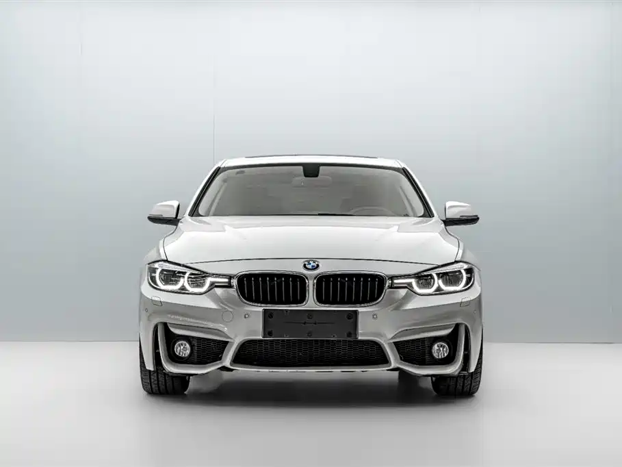 BMW 3 Series 2018 320Li Fashion Style фото 2