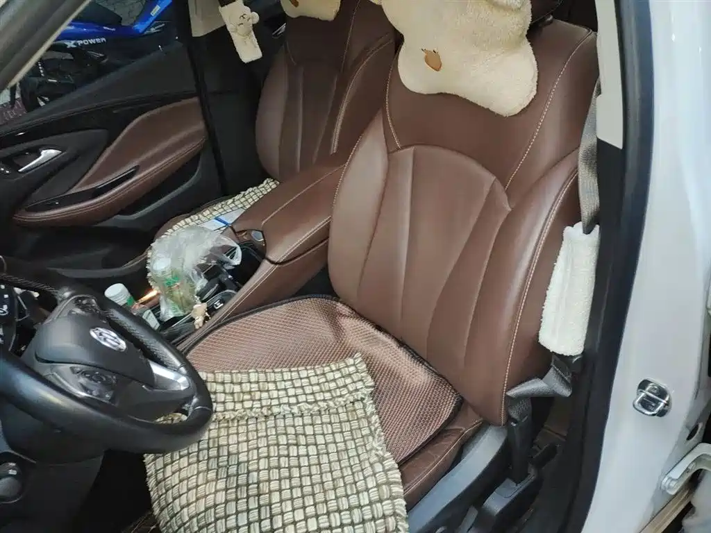 Buick Envision Plus 2018 28T 4WD Luxury фото 8
