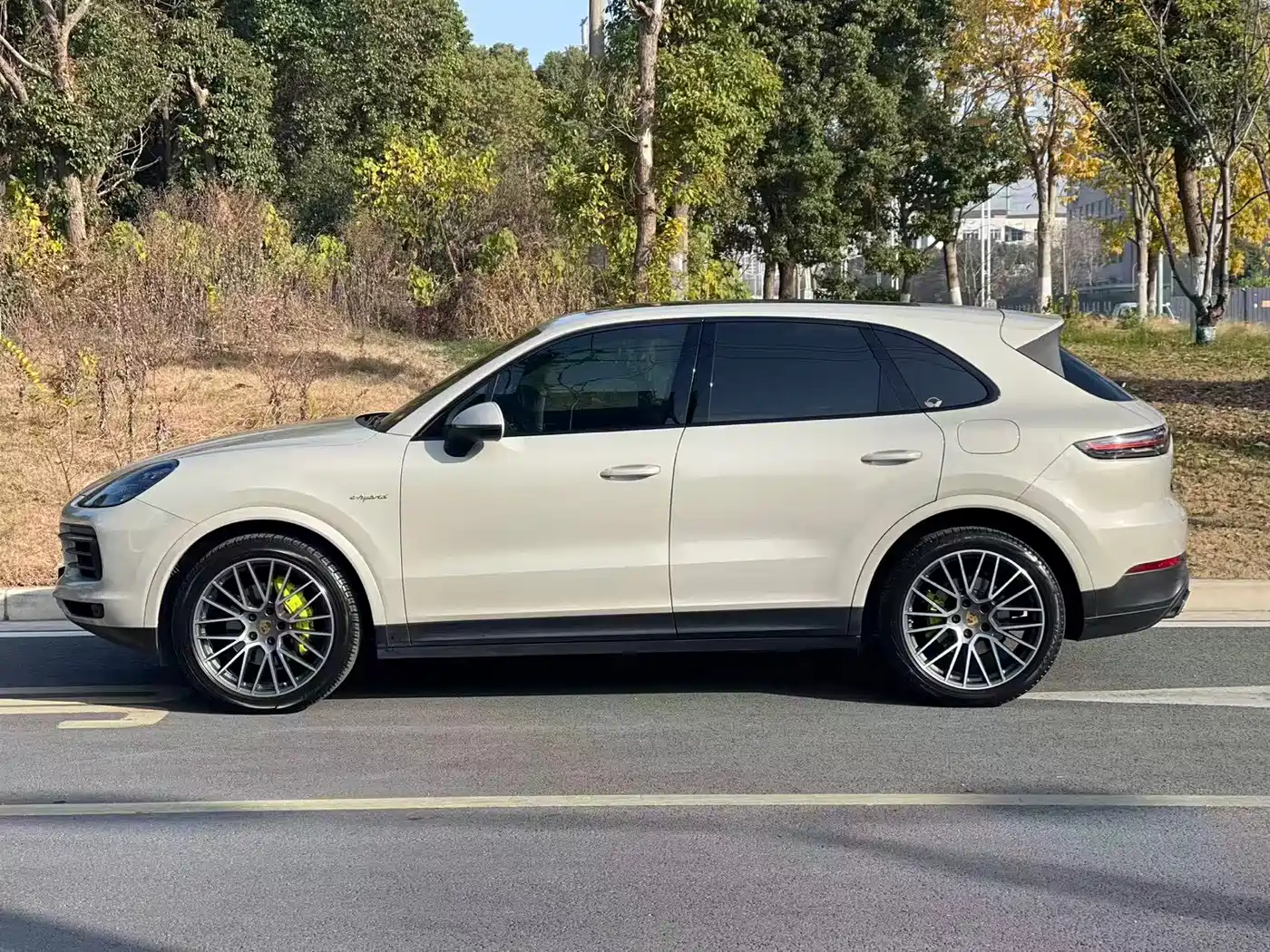 PORSCHE CAYENNE NEW ENERGY