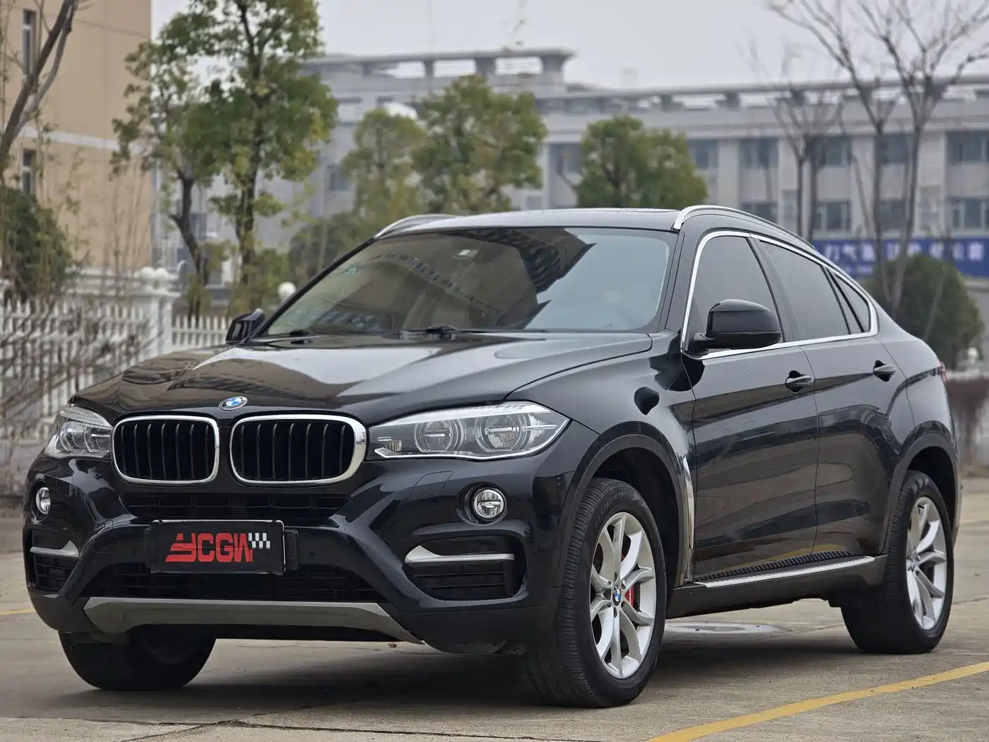 Photo 1 - BMW X6