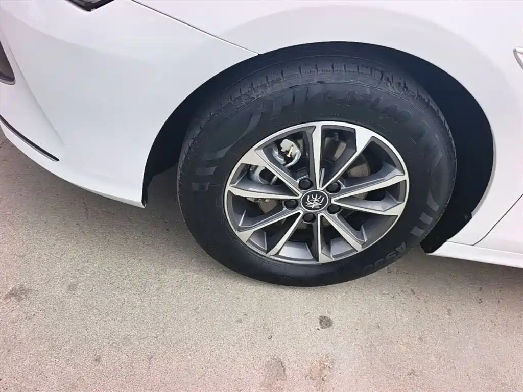 BYD Qin PLUS 2024 Glory Edition DM-i 55KM Leading фото 23