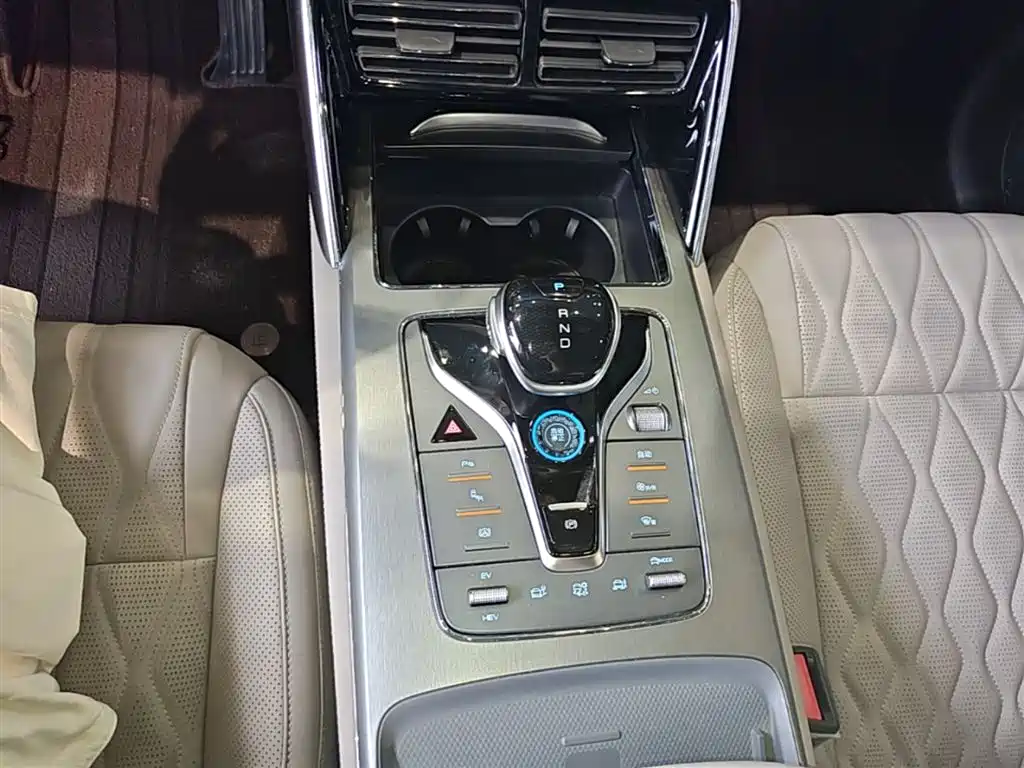 BYD Tang New Energy 2024 DM-p Glory Edition 215KM AWD Premium фото 14