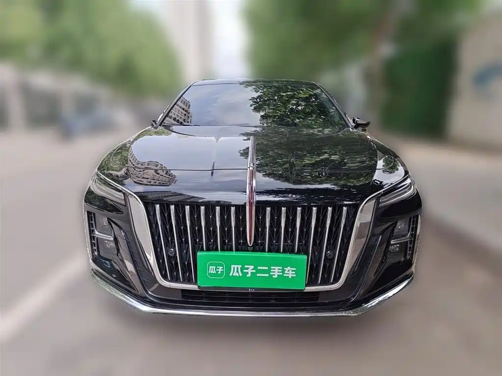 Hongqi H5 2024 2.0T Automatic Smart Connect Flag Smooth Edition фото 3