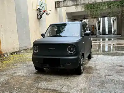 Geely Panda