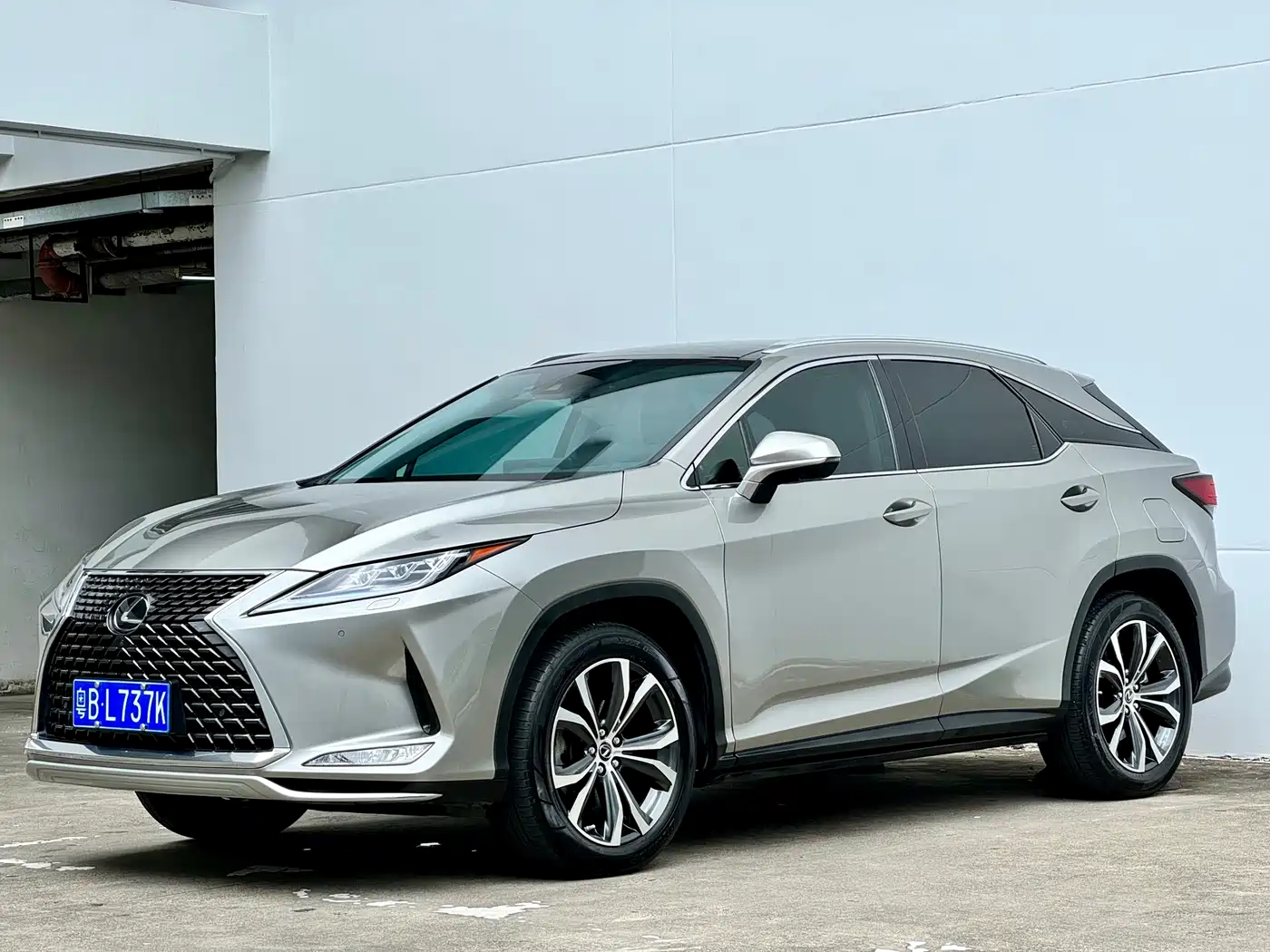 Lexus RX 2020 300 4WD Luxury Edition China VI