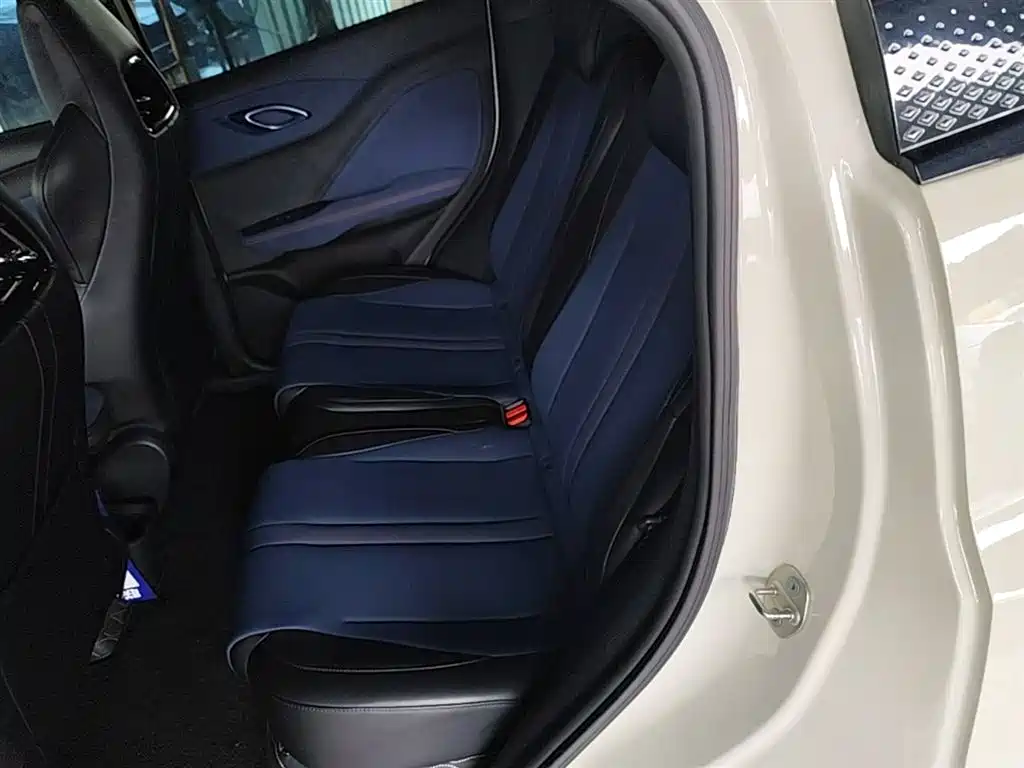 BYD Seagull 2024 Glory Edition 305km Vitality Edition фото 17
