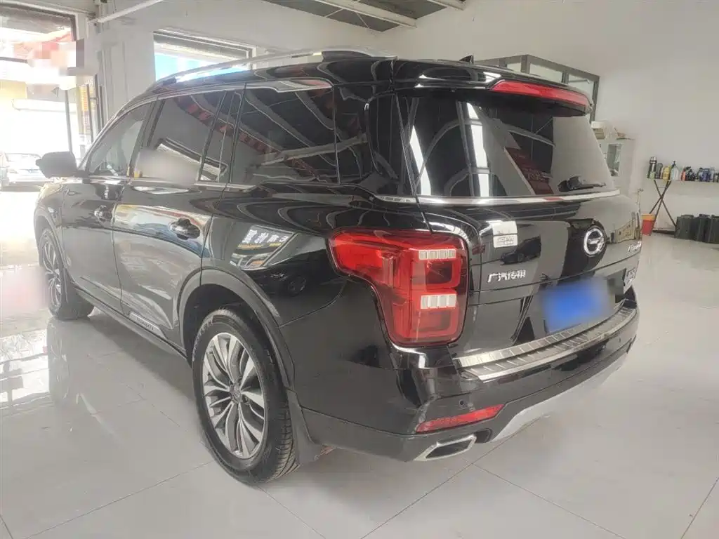 GAC Trumpchi Trumpchi GS8 2017 320T 2WD Luxury Smart Connect (7-seater) фото 23