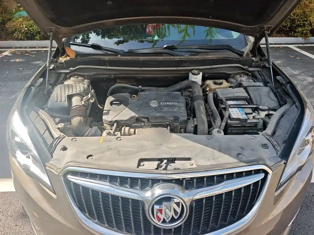 Buick Envision Plus 2018 20T 2WD Luxury фото 11