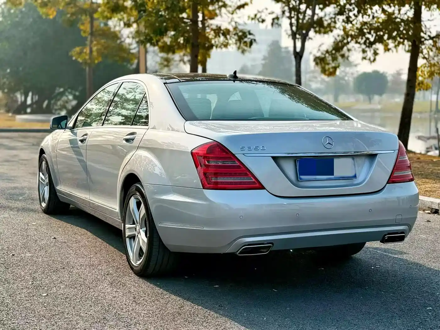 Mercedes-Benz S-Class 2010 S 350 L Luxury фото 2