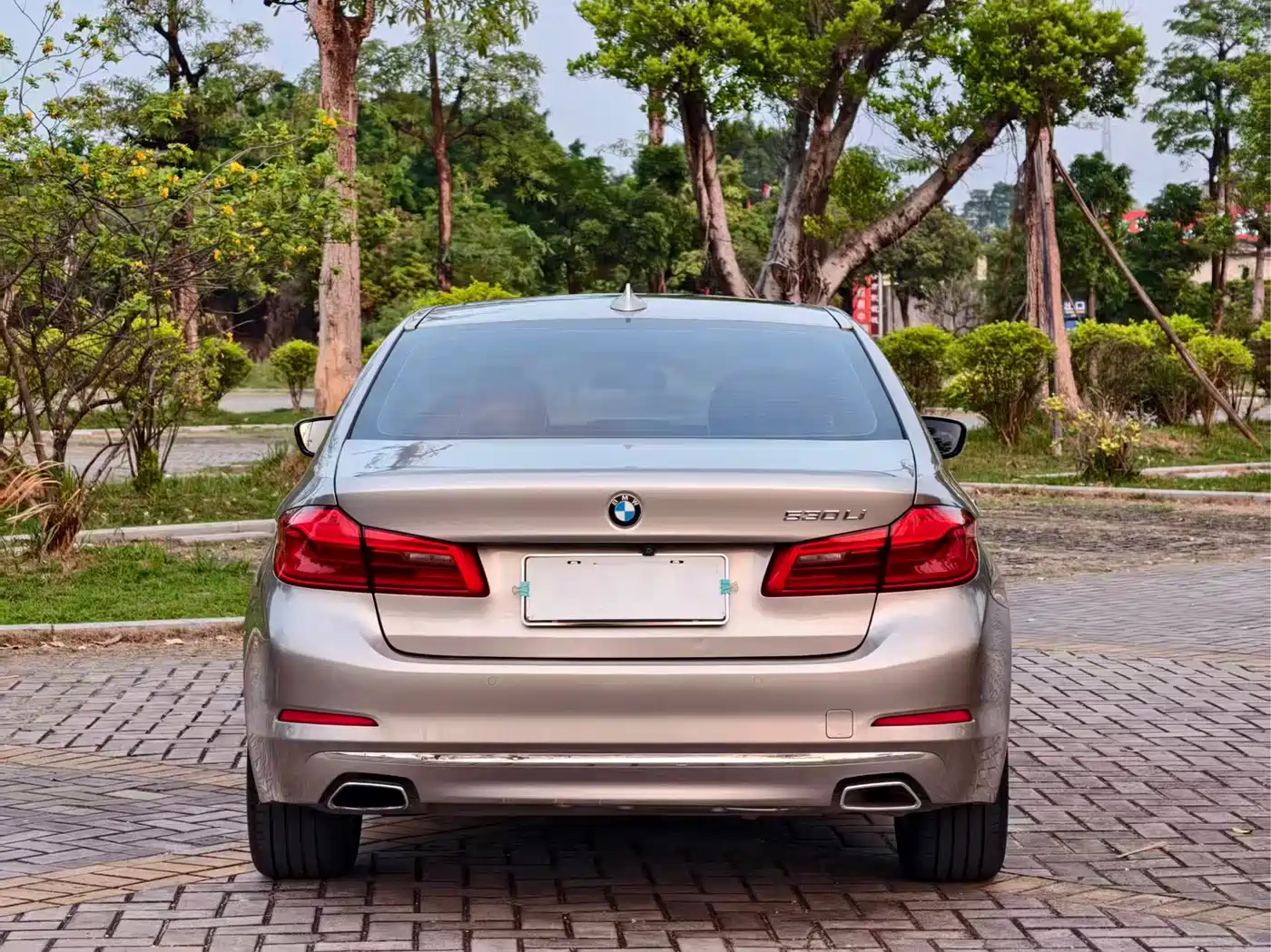 BMW 5 Series 2020 530Li Leading Luxury Package фото 6