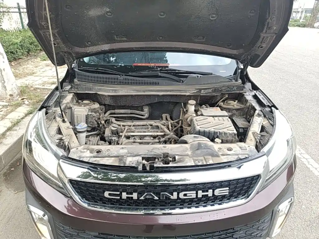 Фото 20 - BAIC Changhe Q35
