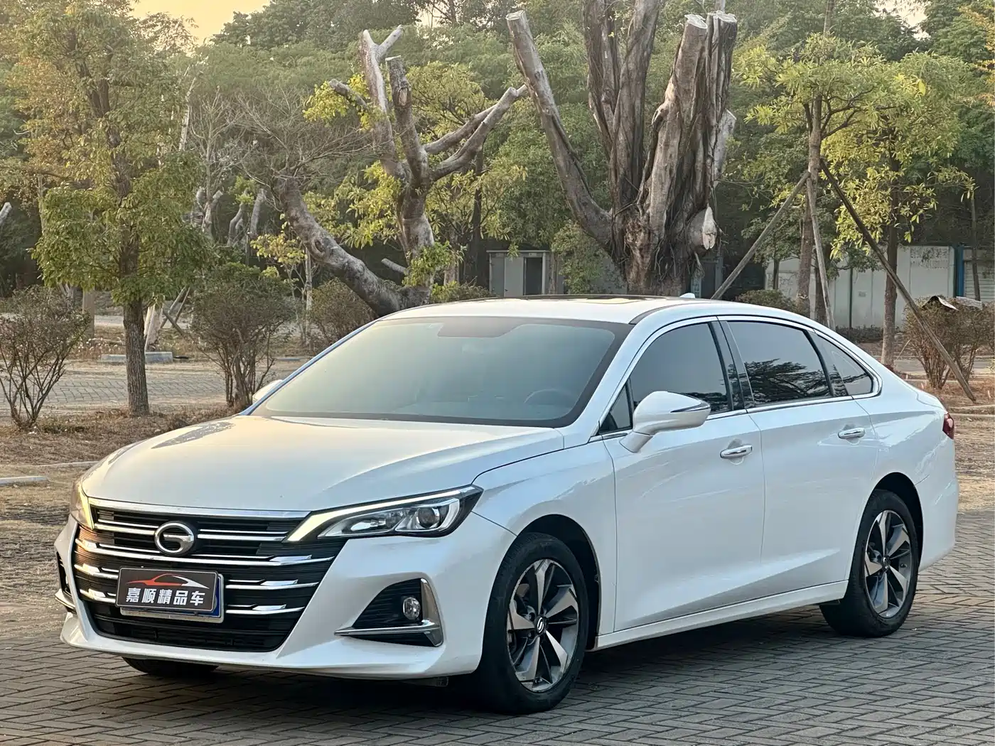 GAC Trumpchi Trumpchi GA6 2019 270T Auto Luxury