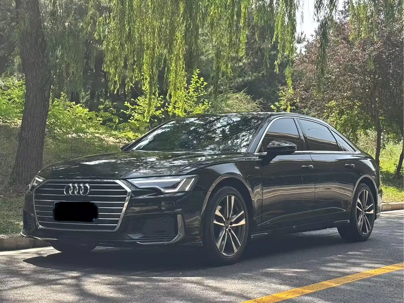 Audi A6L 2020 40 TFSI Luxury Dynamic