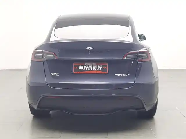 Tesla Model Y 2022 Rear-Wheel Drive Version — фото 4