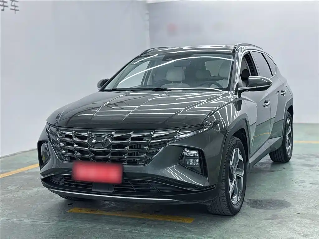 Hyundai Tucson 2021 Tucson L 1.5T DCT LUX Premium фото 2