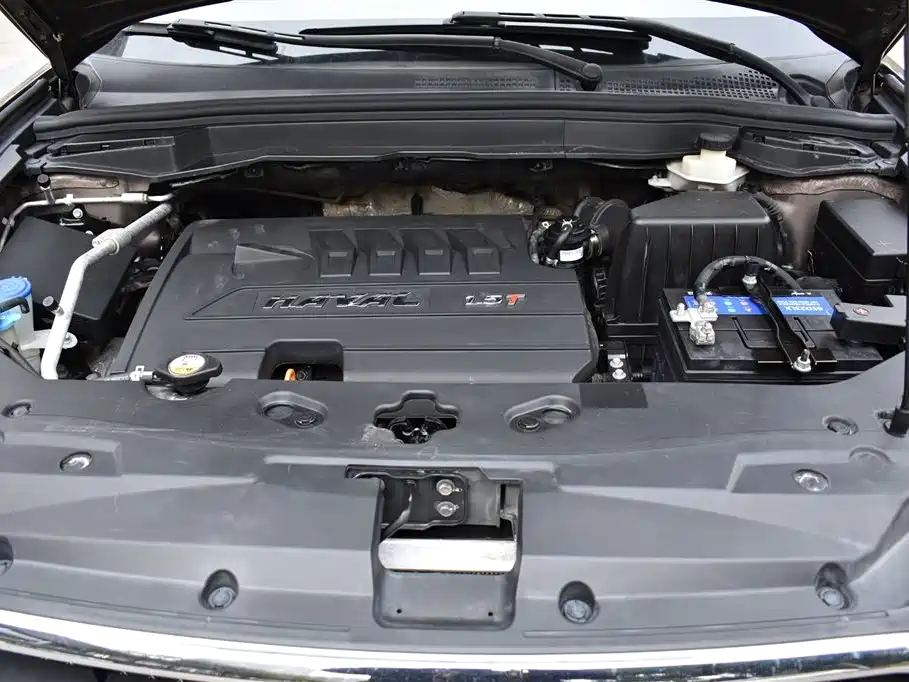Haval H6 Coupe 2016 Blue Label 1.5T Automatic 2WD Elite фото 18