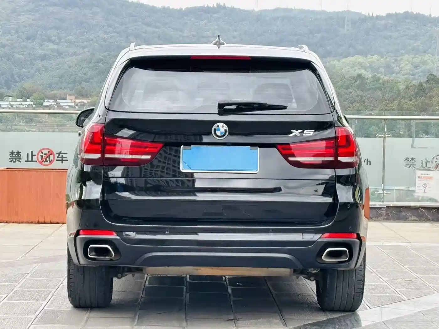 BMW X5 (Import) 2017 xDrive35i Elegance фото 6