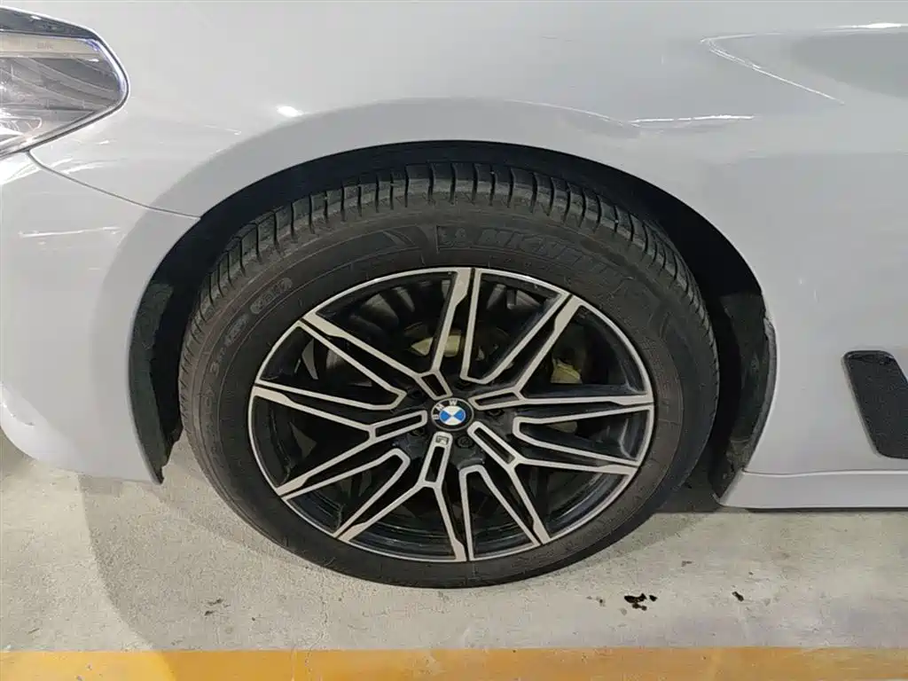 BMW 5 Series 2018 530Li Leading Luxury Package фото 23