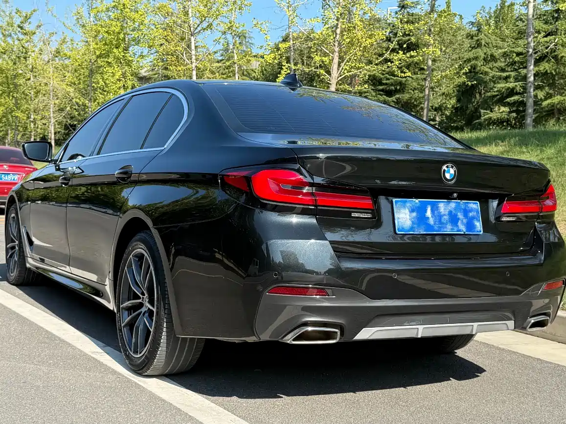 BMW 5 Series 2020 525Li M Sport Package фото 9