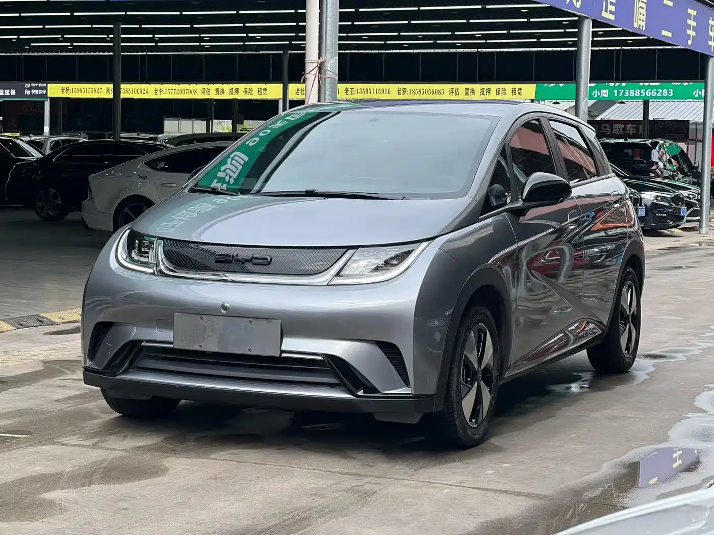 BYD Dolphin 2023 420km Freedom Edition