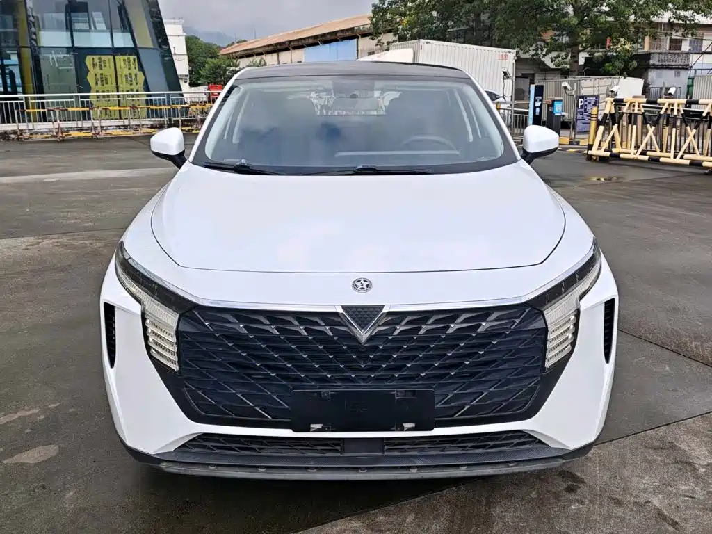 Venucia Big V 2022 2021 260T Idol Edition