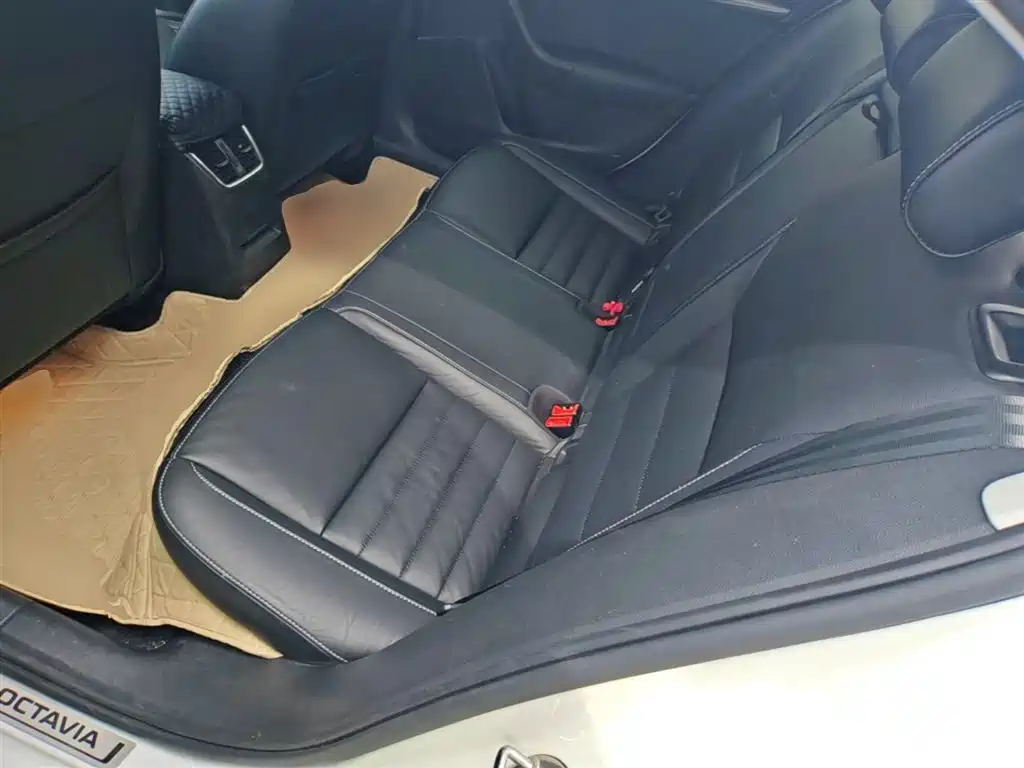 Škoda Octavia 2016 1.6L Automatic Smart Edition фото 17
