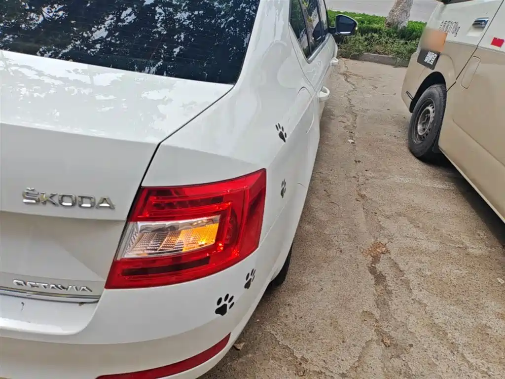 Škoda Octavia 2016 1.6L Automatic Smart Edition фото 8