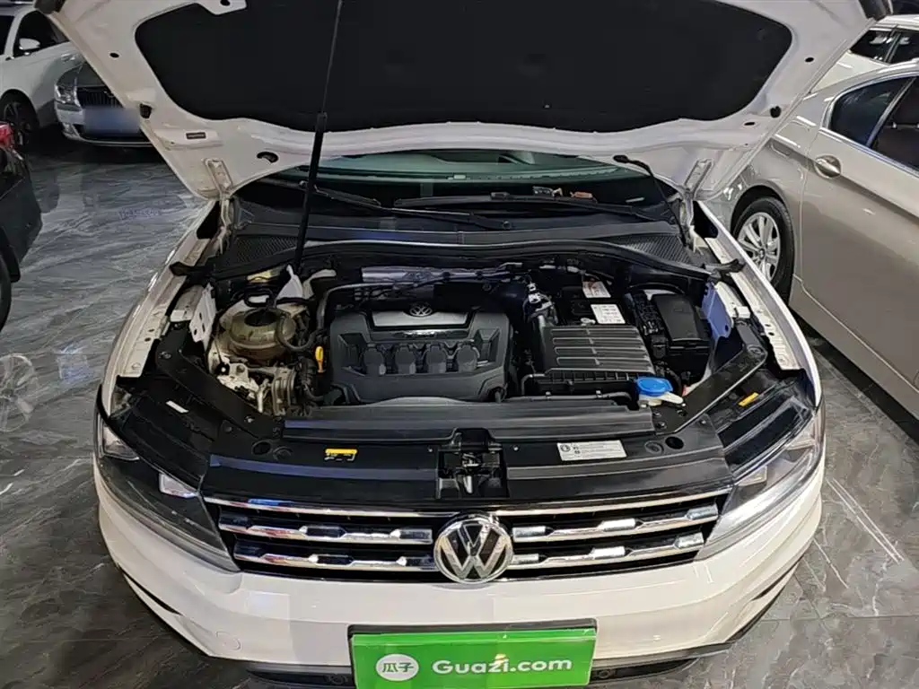 Volkswagen Tiguan L 2019 330TSI Automatic 2WD Smart Luxury Edition China VI фото 20