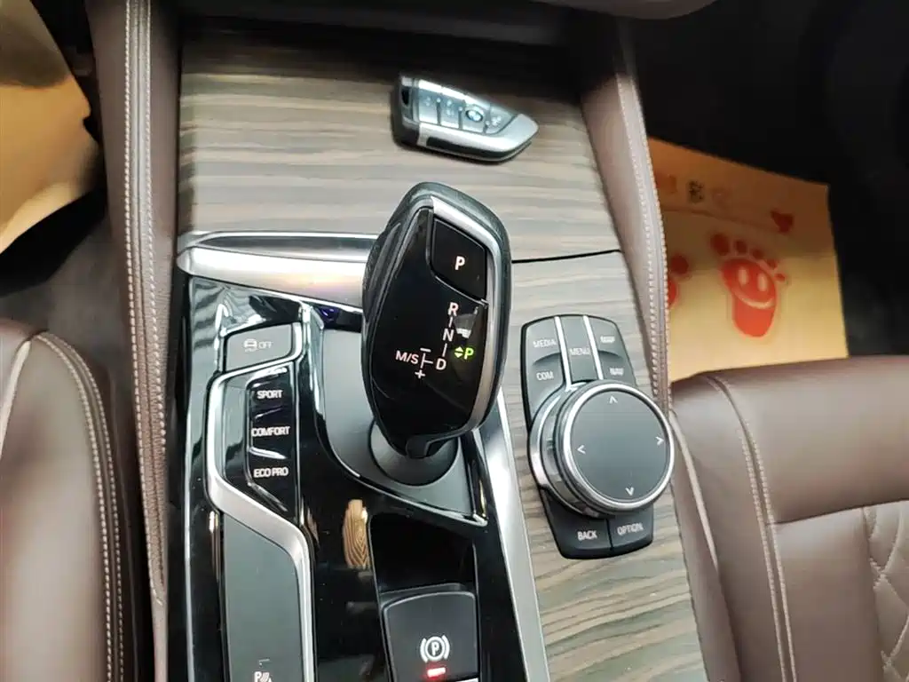 BMW 5 Series 2018 Facelift 530Li Leading Luxury Package фото 14