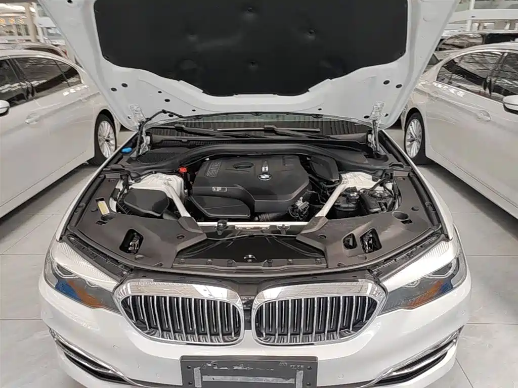 BMW 5 Series 2018 Facelift 530Li Leading Luxury Package фото 20
