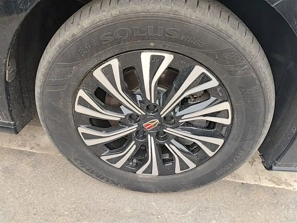 Hongqi HQ9 PHEV 2024 Model 2.0T AWD Business Edition фото 23