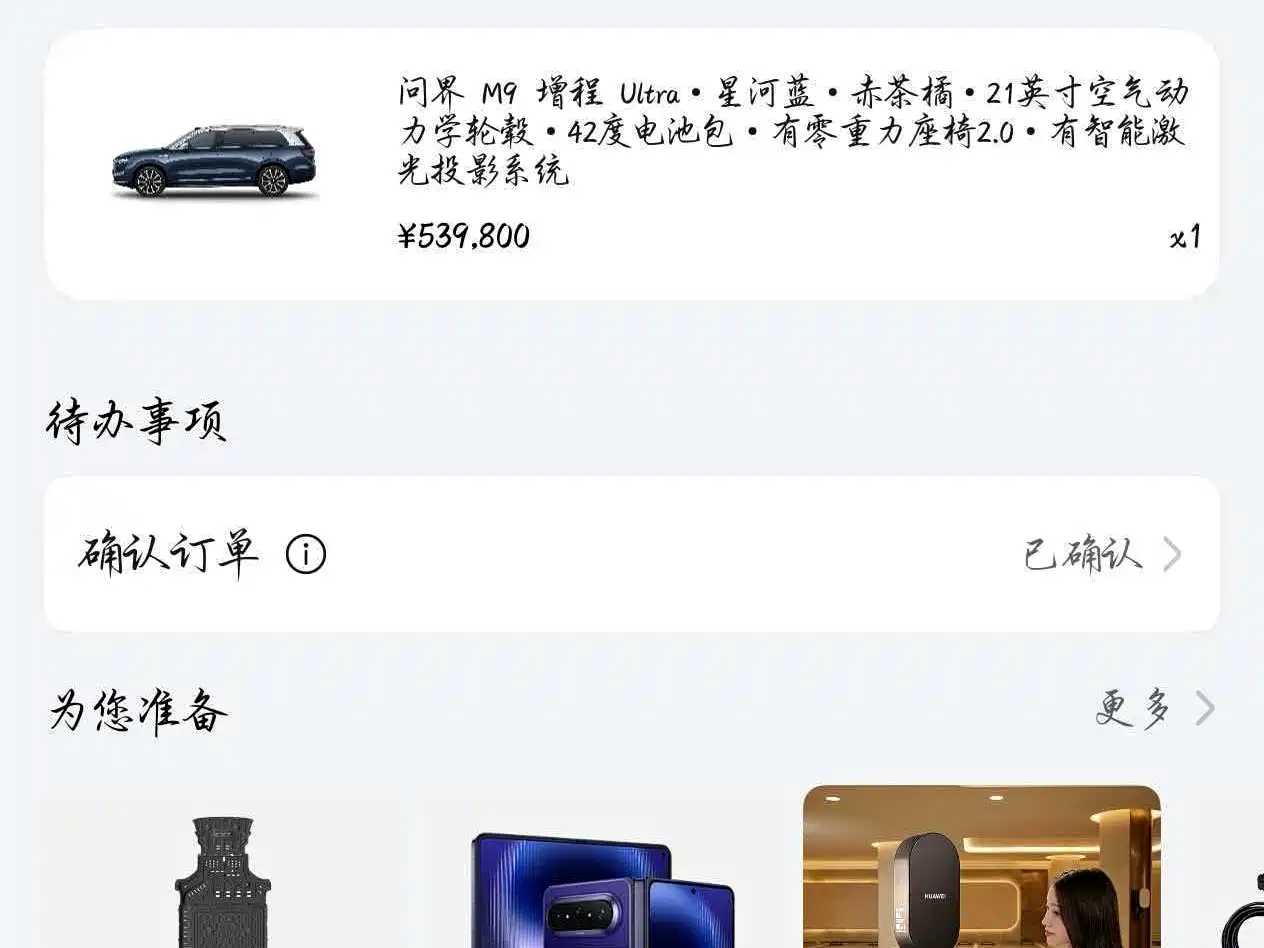 AITO Wenjie AITO M9 2024 Extended Range Ultra 42kWh 6-Seater фото 19
