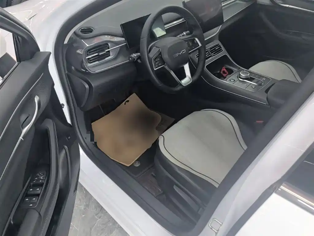 BYD Destroyer 05 2024 Glory Edition DM-i 55KM Luxury фото 16