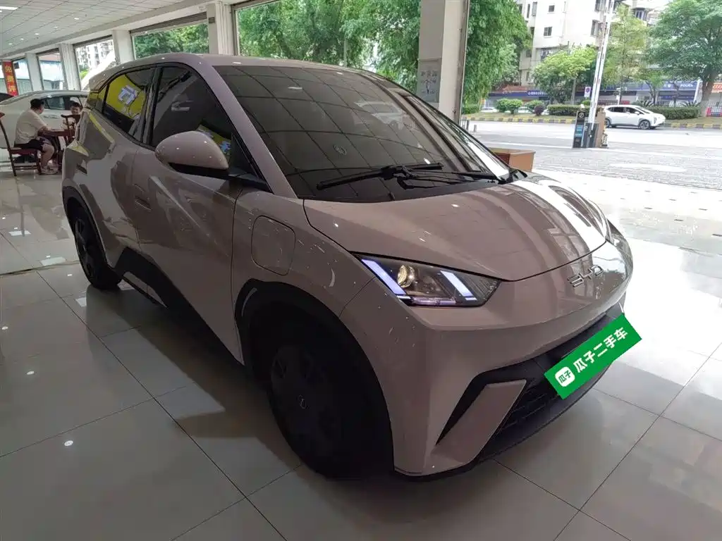 BYD Seagull 2023 Vitality Edition фото 23