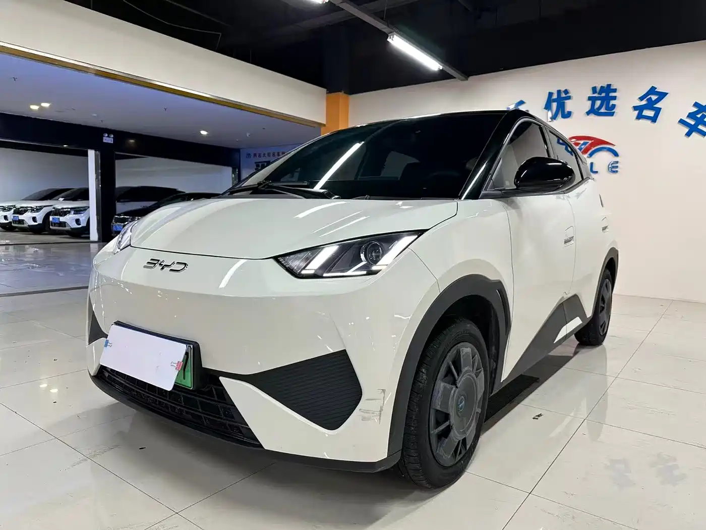 BYD Seagull 2025 Smart Drive Edition 305km Vitality Version
