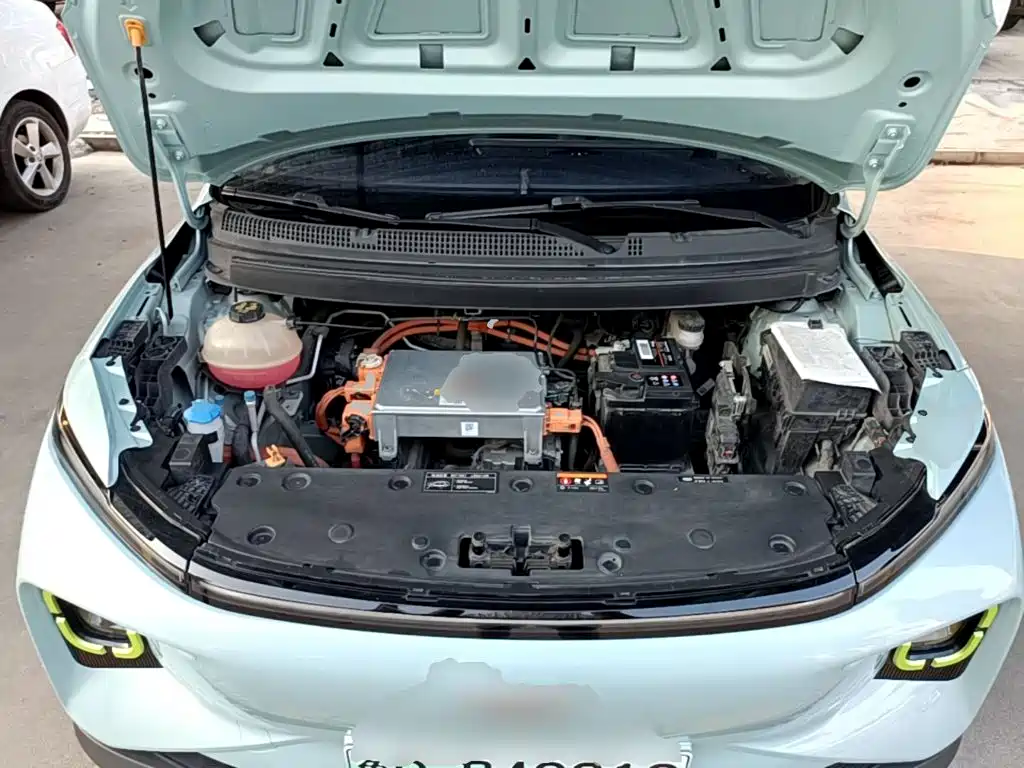 Geely Geometry E Firefly 2022 2022 401KM Delicate Tiger 4-seater