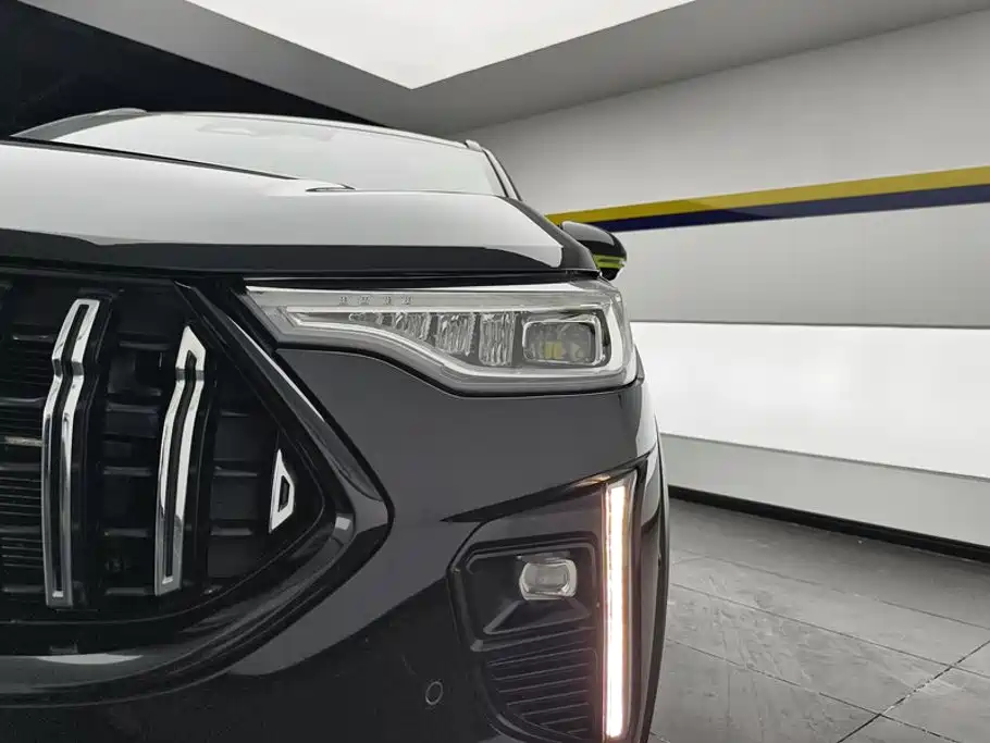 Haval Chitu 2022 2021 Boost Edition 1.5T Platinum Rabbit