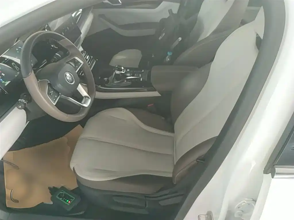 BYD Qin PLUS 2024 Glory Edition DM-i 55KM Leading фото 15