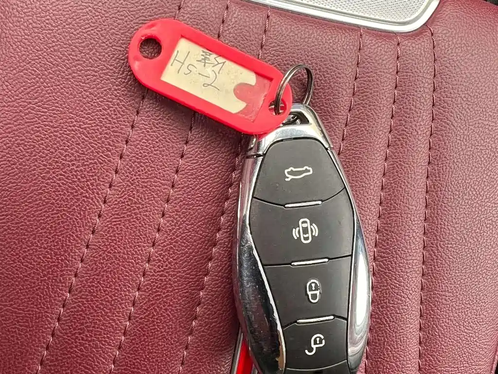 Hongqi H5 2024 2.0T Automatic Smart Connect Flag Leader Edition фото 12