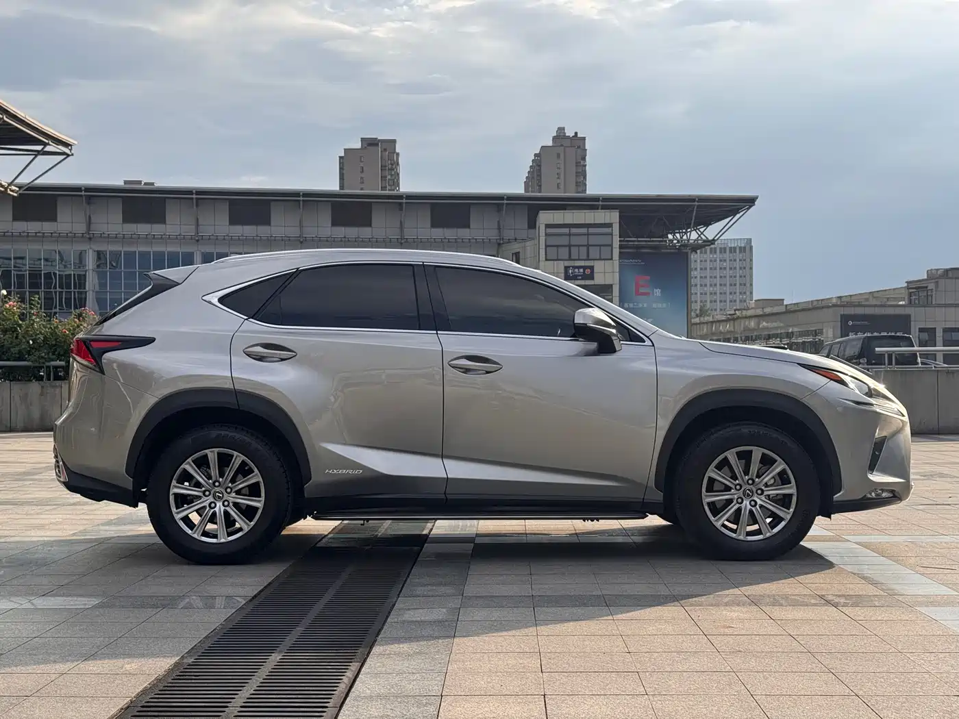 Lexus NX 2020 300 AWD F Sport China V фото 4