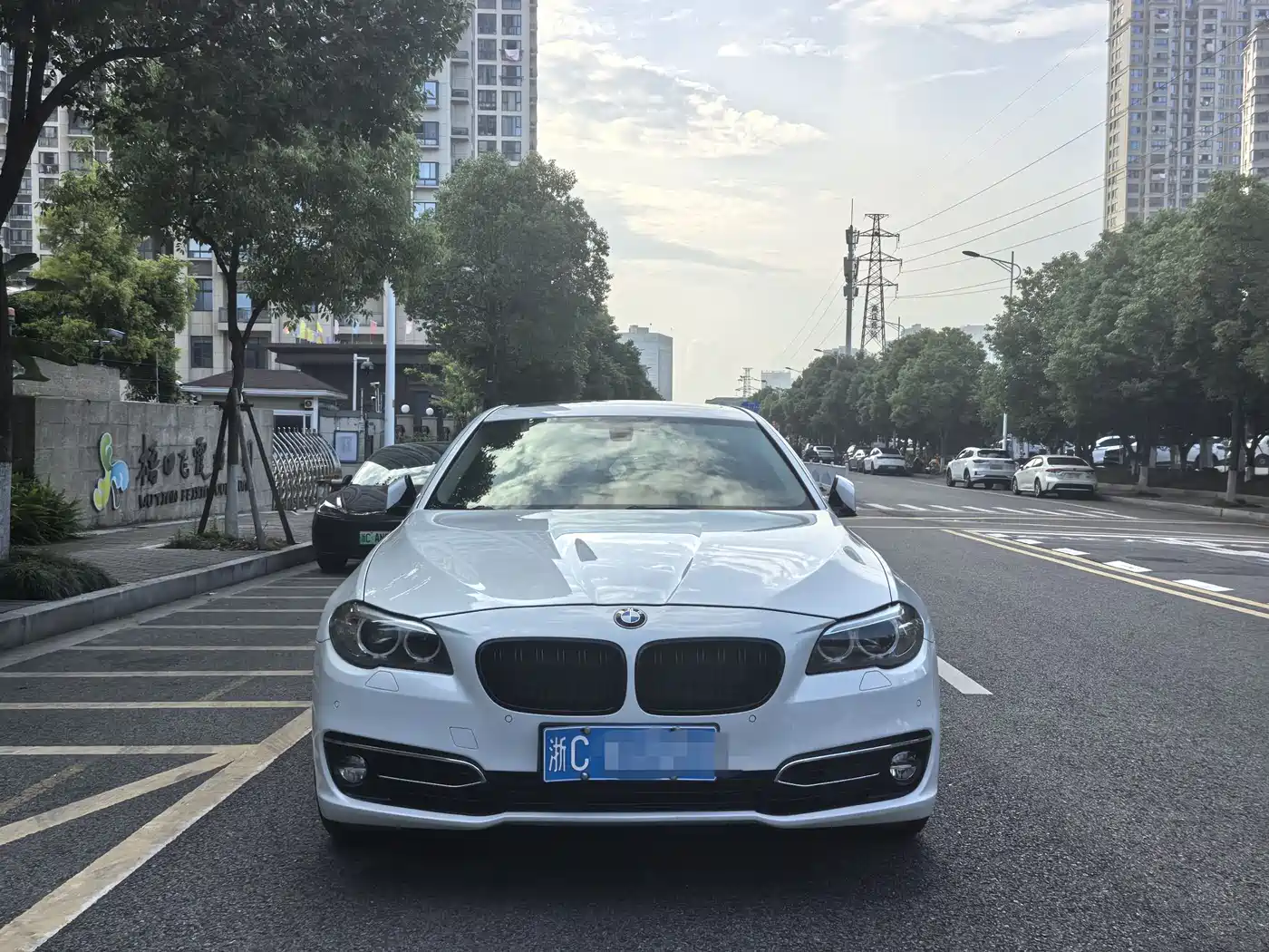 BMW 5 Series 2014 525Li Luxury Design Package фото 2