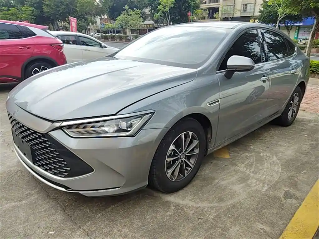 BYD Qin PLUS 2023 Champion Edition DM-i 55KM Leading фото 2